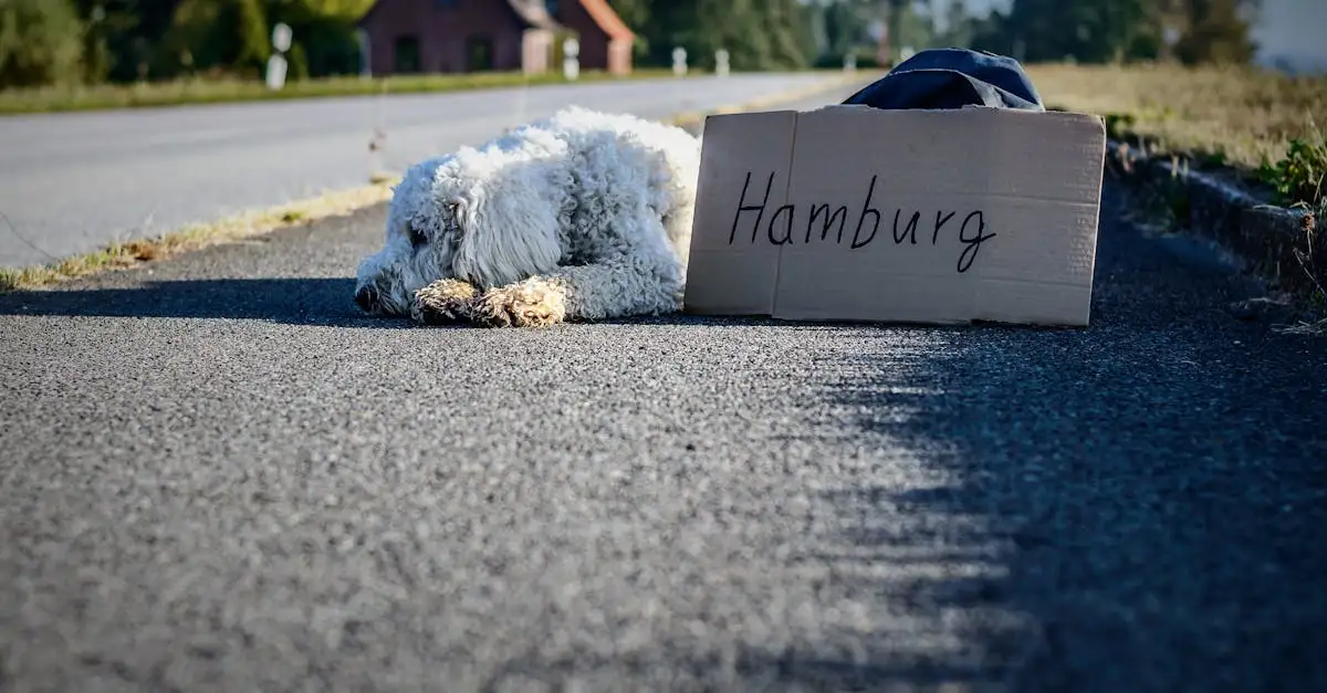 Immobilienscout wohnung kaufen berlin